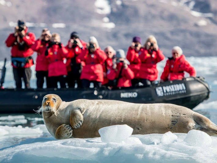 Cruise to Antarctica on New Year 2020