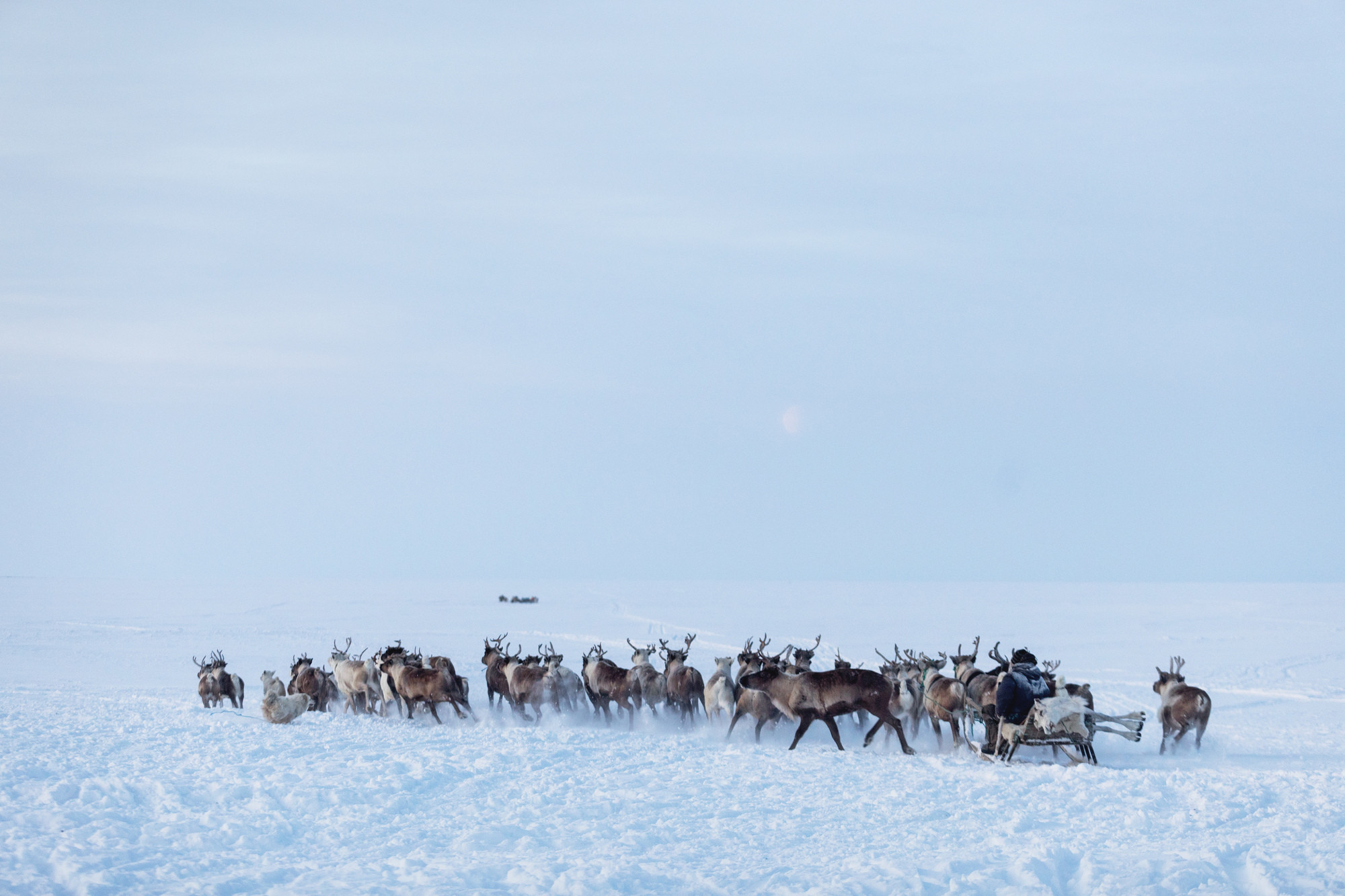 Weekend Tour to Arctica — Nenets Autonomous Okrug in Russia