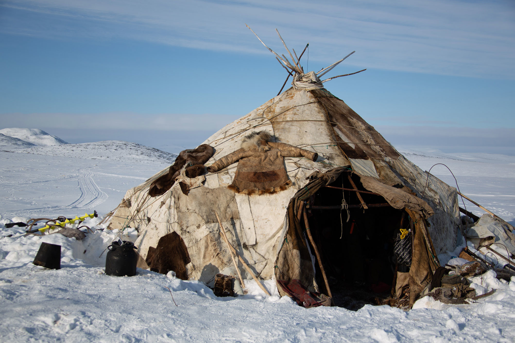 Watching Reindeers — Chukotka Tour 2020 — Book Online | RussiaDiscovery