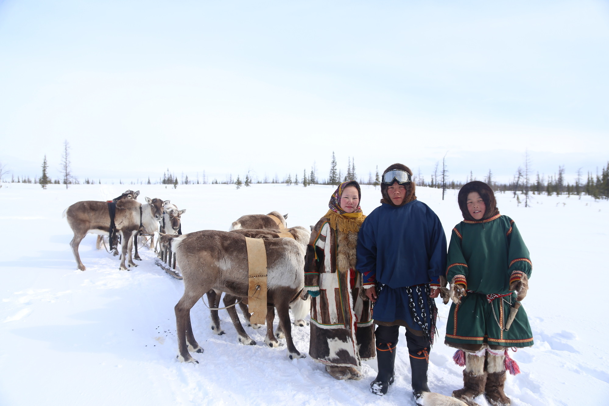 Yamal Travel Package 2021 — Reindeer Tour with RussiaDiscovery